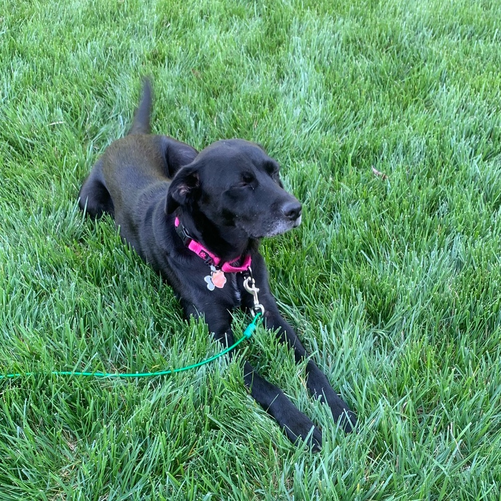 Meet your Posher, Jo